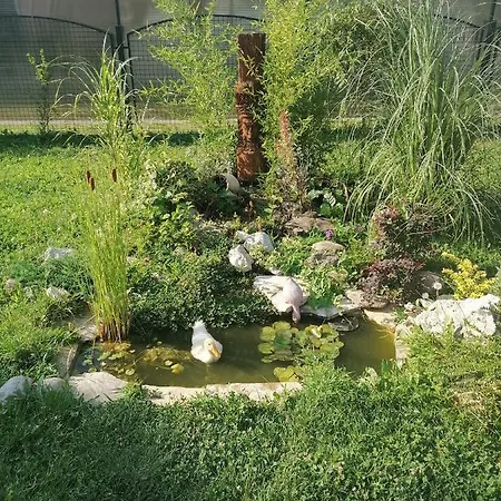Apartment Garden House