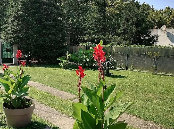 Garden House * Voždivac